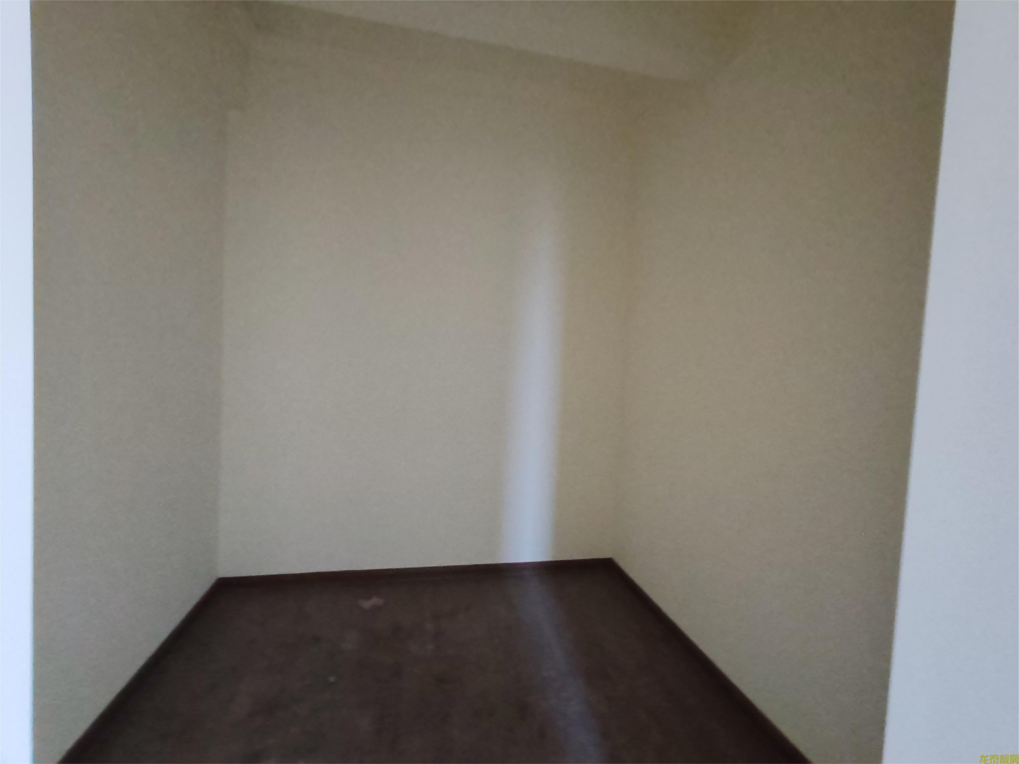 碧桂豪园南向大平层